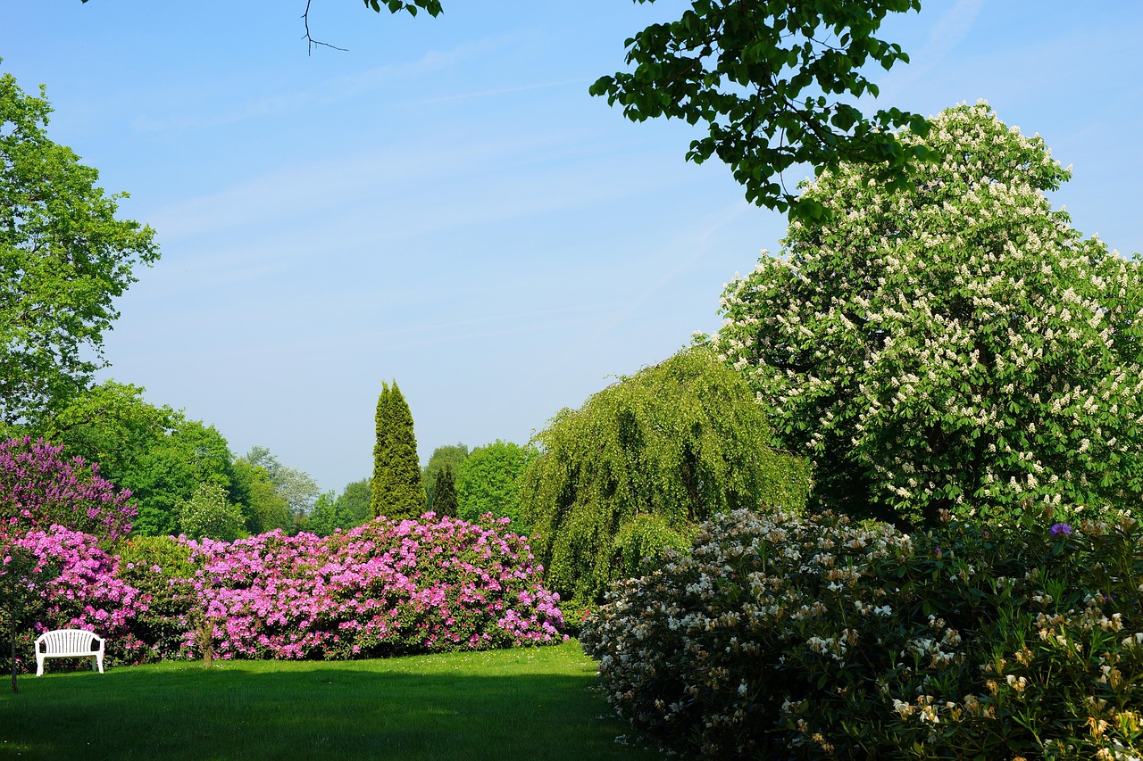 Vale la pena acquistare un gazebo pieghevole da giardino? Scopri i benefici economici
